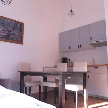 Sauer Apartment *